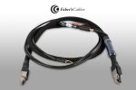 Faber's SixthSense Ethernet